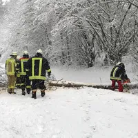 schneebruch_1.jpg