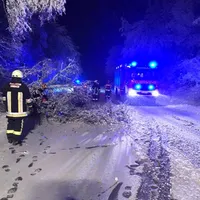 schneebruch.jpg